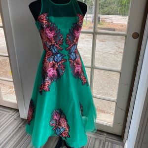 Anthropologie Prima Tulle Dress size0